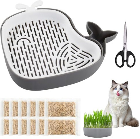 Juego de semillas de hierba para gatos, 15 g x 10 paquetes, con bandeja de germinación de hierba para gatos, juego de cultivo de brotes