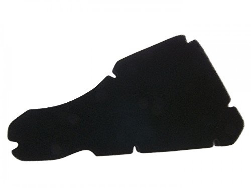 Filtro dell' aria per Gilera Typhoon, Piaggio NRG, NTT | Schiuma poliuretanica a celle aperte, su misura, OEM T271-OT112, 9214/433437 compatibile con Gilera Typhoon 50
