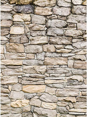 Steintapete in 3D | Steinwand Tapete beige grau ideal für Esszimmer und Diele | Flur Fototapete aus Vlies mit Mauer Design in Naturstein Optik