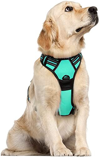 rabbitgoo Hundegeschirr Mittelgroße Hunde, Anti Zug Geschirr mit Kontrolle, No Pull Verstellbar Hundegeschirr Grosse Hunde, Atmungsaktiv Reflexstreifen Brustgeschirr Sichere Führung Grün L