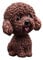 Maciun Auto-Wackelpuppe, niedlicher Hundeschmuck, Wackelkopf, Wackelkopf, Hundewelpe, Wackelkopf, Hundedekoration, Wackelkopf, Spielzeug, Auto-Innenraum, Armaturenbrett-Ornament