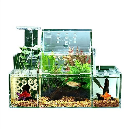 Aquarium Ökologische Aquarium-Desktop-Zucht, Schlüpfen, spezielle Aquarium-Isolationsbox, zirkulierende Wasserfiltrationspumpe, Heimbüro-Aquarium-Dekoration Fischtank