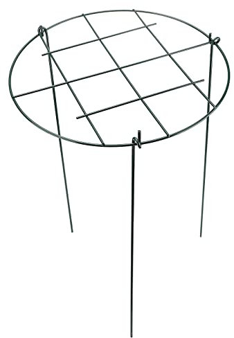 Pflanzgitter Kreisförmig, Durchwachsende Gitter-Pflanzenstütze mit 3 Beinen, Blumenstützringe, Runde Pflanzenstütze für Pfingstrose, Tomate, Rose, Weinrebe(#1)