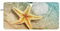 Sea Shell Seestern Windschutzscheibe Sonnenschutz Faltbare Auto Sonnenblende für Frontscheibe Auto Sonnenschutz für Auto LKW SUV Schild blockiert UV-Strahlen Auto Innenraum Zubehör 76,2 x 150,9 cm