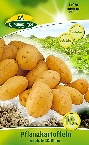 Quedlinburger 84020 Pflanzkartoffel Annabelle (10 Stück) (gelb, festkochend, sehr früh)