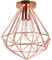 iDEGU Vintage Pendant Light Industrial Metal Cage Diamond Lamp Shape E27 Ceiling Light Fixture for Bedroom, Cafe, Bar, Restaurant, Kitchen, Rose Gold (25cm)