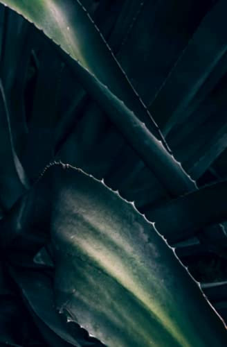 Il mio diario delle piante: (copertina colore: Agave)