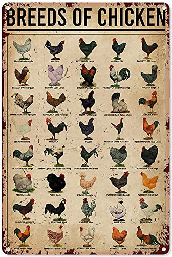 Lsjuee Razze di galline Targa in metallo vintage in metallo, pittura su ferro Retro insegne per casa, cucina, bagno, decorazione da parete, poster divertente, 30,5 x 40,6 cm