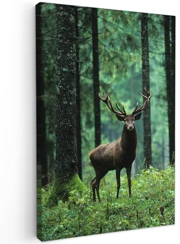 MuchoWow© Impression sur Toile Peinture 40x60 cm Tableau Mural Decoration Salon Reproductions de Tableaux Murale Moderne Cerf - Forêt - Arbres - Animaux - Nature