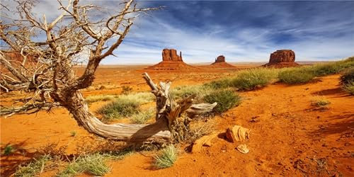 MIRRORANG 120x61cm Reptilien Lebensraum Hintergrund Orange Wüste Terrarium Hintergrund Vinyl Hintergrund