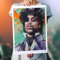 Prince 01 Poster 50x70 cm
