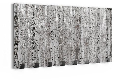 DEQORI Wandgarderobe Glas & Metall | Motiv Birkengeheimnis | 60x30 cm | Design Haken-Leiste modern | Garderoben-Paneel für Flur, Wohnzimmer & Schlafzimmer | magnetisch & beschreibbar