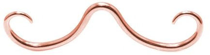 WWHJR Septum Schnurrbart Nasenringe Edelstahl Mode Nasenringe Hoop Septum Piercing Schmuck für Männer und Frauen Schnurrbart Nasenscheidewand