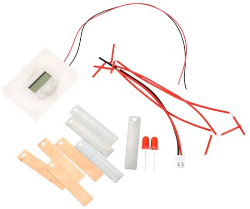 HEALSOPTHY DIY Fruchtbatterie Experimentierset Für Junge Mädchen Metallisch Sicher Wiederverwendbar Pädagogisches Wissenschaftsspielzeug Handgemachtes Batteriebau Für Kleine Experimente Schul