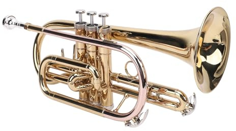AOWINHIT Gold BB Trompete Set Orchestral Instrument Integrierte Schockdes Futterhaut -Messingphosphor Kupfer