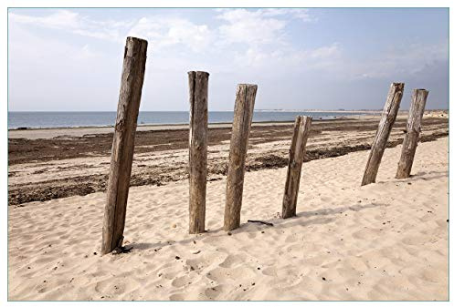 Wallario Küchenrückwand selbstklebend 90 x 60 cm, Motiv: Sandstrand mit Holzpfählen am Atlantischen Ozean | Spritzschutz abwischbar & pflegeleicht