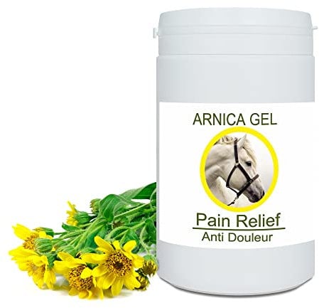 Arnika FORTE Gel-Konzentrat 100% aus Bio-Anbau | Massage-Gel für Muskeln und Gelenke | Feuchtigkeitscreme für die Haut | Schnelle Absorption, 1000g