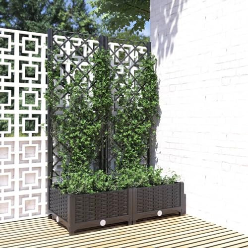Cosisti Jardinière avec Treillis Bac avec Treillis bac à Fleurs jardinière sur Pied Lit Surélevé Pot à Plantes Boîte à Fleurs Jardin PP -Noir-80 x 40 x 121.5 cm