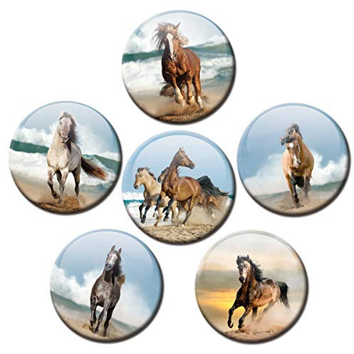 Magnete für Glasmagnettafel Pferde Meer extra stark 6er Pferdemotiv Deko Geschenk Set Tiere lustig für Kinder Pferdeliebhaber groß 50mm rund