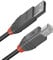 LINDY - Cable USB a USB 2.0 A/B, Anthra Line 10 Metros, Transferencia de Datos a 480 Mbps | Compatible con Televisor, Monitor, Tablet, Portátil | 10 Años de Garantía
