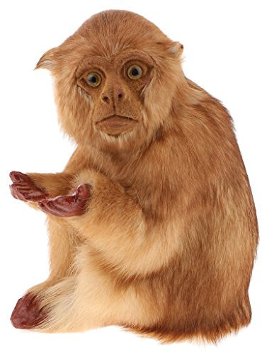 Tubayia Realistische AFFE Tierfigur Dekofigur Statue Skulptur Ornament für Garten, Zuhause (Dunkel)