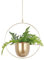 TENMEDARY Blumentopf Hängend Metall Blumenampel Schwarz Hängetopf für Pflanzen Übertopf Hängend für Außen Innen Terrasse Balkon Zimmerpflanzen, Sukkulenten, Luftpflanzen (Goldener Rund)