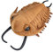 PuffPurrs Riesiges Trilobiten Plüsch - Realistisches 16-Zoll Trilobiten Stofftier, Simulation von Trilobiten Arthropoden Insekten Plüschtiere, Weiche Krustentiere Stofftiere