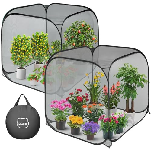 2 Pop Up Pflanzenschutznetz, 90x90x97cm, Vogelnetz, Gemüsenetz, Gartennetze | Insektenschutznetz, Obstnetz, Kulturschutznetz, Barriere gegen Insekten, für Gemüse Pflanzen, Blumen, Felder, Garten, Schwarz