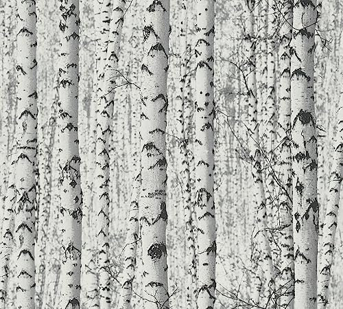 A.S. Création WTD Papier peint autocollant Motif forêt de bouleaux Noir/blanc 0,52 x 2,5 m Fabriqué en Allemagne