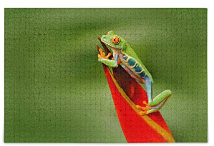 IGHSNZUH 1000-Teiliges Puzzle, Kunstmalerei, Tier-Frosch-Puzzle, Lustiges Spielzeug-Familienspiel Für Pädagogisches, Intellektuelles Dekomprimieren/Mehrfarbig/1000 Stück