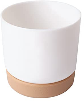 Petit pot de fleurs d'intérieur en céramique blanche avec trou de drainage pour plantes grasses, cactus – Grand/petit pots en céramique pour l'intérieur