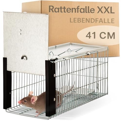 Praknu XXL Lebendfalle für Ratten, Siebenschläfer und Nagetiere - Extra Groß 41 cm - Wiederverwendbar - Sofort Einsatzbereit