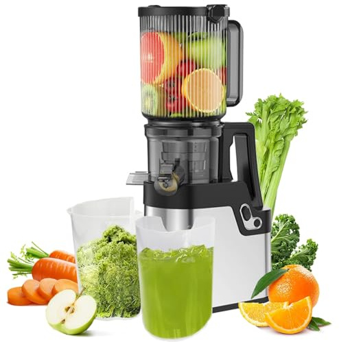 Cold Press Juicer Machine, 250W Slow Masticating Juicer with 4.2 Wide Feed Chute, for Whole Fruits and Vegetables, High Juice Yield, Quiet Motor, Easy to Clean(Silver)
