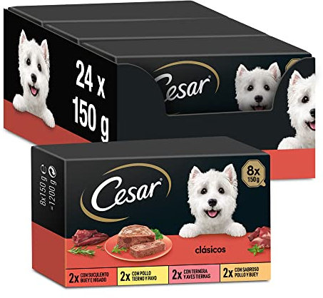 Cesar Nassfutter für Hunde, Auswahl der Klassiker in Pastete, Multipack (3 x 8 Becher x 150 g)