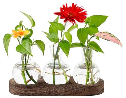 Innjoii Glass Planter Station with Wooden Tray Desktop Plant Propagation Terrarium with 3 Bulbs Vases Retro Solid for Propagating Hydroponic Plants Wedding Centerpiece Office Home Decor