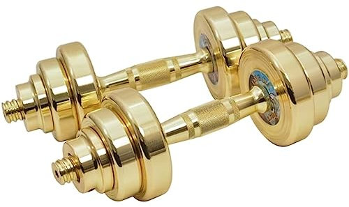 Hanteln Kurzhanteln 1 Paar Verstellbare Hanteln Aus Reinem Stahl, Hantel-Gewichtsset, Für Zuhause, Fitnessstudio, Übung, Gewichtheben, Haushalt Hanteln für Krafttraining (Color : Gold, Size : 25kg(1