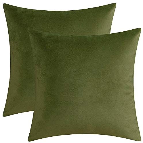 Artcest Set of 2 Decorative Velvet Throw Pillow Cases, Soft Solid Cushion Covers for Sofa Couch and Bed, 14x14, Sage Green