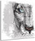 Tableau verre acrylique deco design Lion, Tableau Plexis décoration murale, impression sur verre acrylique, tableau déco, 30x30 cm