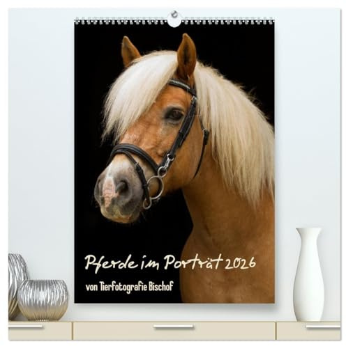 Pferde im Portait (hochwertiger Premium Wandkalender 2026 DIN A2 hoch), Kunstdruck in Hochglanz: Einzigartige Pferde-Charaktere festgehalten in eleganten Aufnahmen (CALVENDO Tiere)