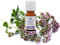 FLORABIOL | Huile Essentielle de Marjolaine avec Coquilles | Revitalisante, Énergisante et Apaisante | 100% Pure et Naturelle | Fabrication Française | 5ml