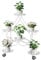 unho Porta Piante da interno Bianco: Portavasi da interno con Ruote Portapiante in Metallo per 6 Vasi da Esterno Balcone Giardino 58x30,5x84,5cm