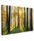 MuchoWow© Leinwand Bilder 60x40 cm Wanddeko Wohnzimmer Aesthetic Room Decor Deko Zimmer Wandbilder Modern Fotogeschenke Bild Wald - Sonne - Bäume - Gras - Landschaft - Natur