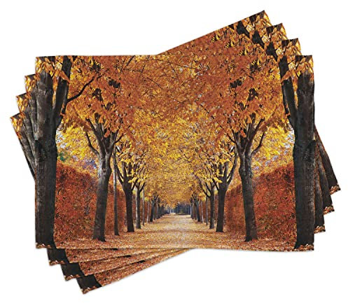 ABAKUHAUS, Herbst Platzmatten, Digitaldruck Rutschfesten Stoff Tischdekoration für die Küche, Herbst Jahreszeit Fotographie Park Spaziergang Wald Bäumen Laub blättern Natur, Mehrfarbig Orange