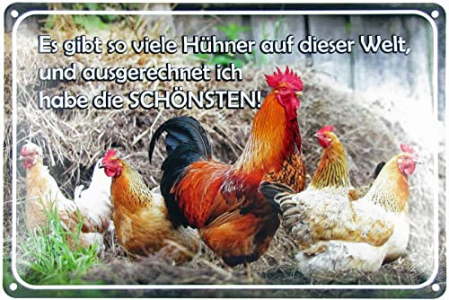 Blechschild 20x30cm gewölbt Die Schönsten Hühner Huhn Hahn Sprüche Deko Geschenk Schild