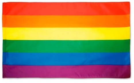 BDM Bandera LGTBI+, Bandera Orgullo Gay Pride, Bandera arcoíris manifestaciones o Festivales, Medida 100 x 70 cm de poliéster, Accesorio para Interior y Exterior