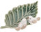 Ipetboom Placa de pájaro de hoja verde plato bandeja decorativa llave Lámina para decoración plato de baratija de joyería bandeja decorativa antigua cerámica Green