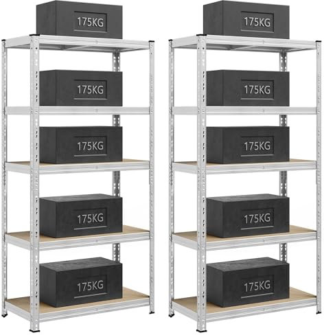 SONGMICS Set di 2 Scaffali per Carichi Pesanti, Portaoggetti da Cantina, 50 x 100 x 200 cm, Portata fino a 875 kg, Montaggio Facile, Scaffalatura da Magazzino, Ripiani Regolabili, Argento GLR447E02