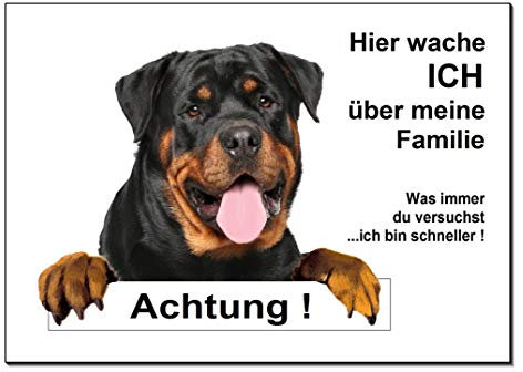 Rottweiler-Hier wache ich-Hundeschild-Schild-300 x 200 x 3 mm-Aluminium Verbund-Hund-Tierschild-Warnschild-Hinweisschild (1451-106 -30 x 20 cm mit Löcher)