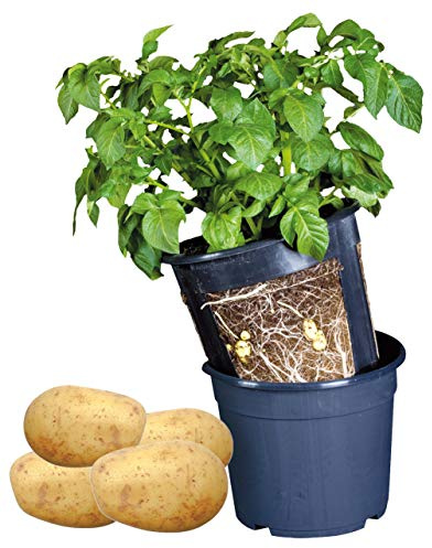 Esschert Design Kartoffeltopf blau