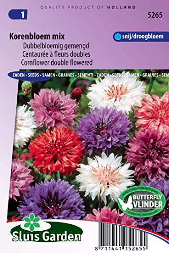 Blåklint dubbelblommig blandning blomfrön